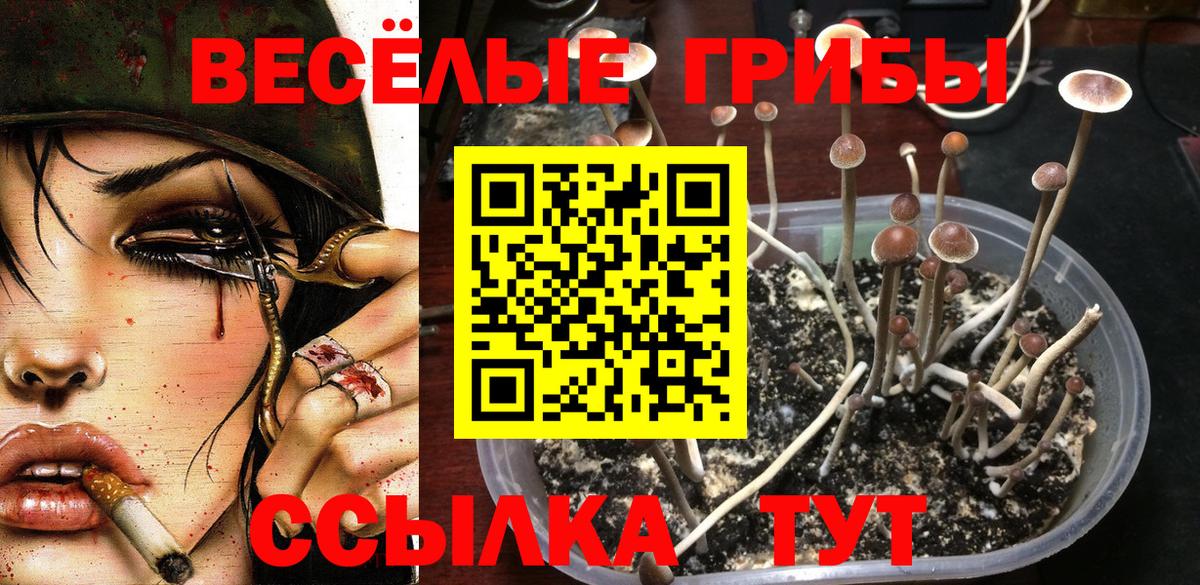 Галлюциногенные грибы ЛСД Верхняя Пышма