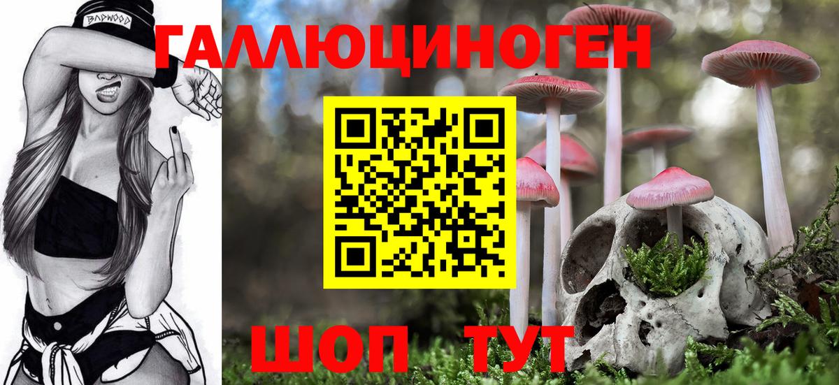 Верхняя Пышма  купить закладку  Вход с VPN  Галлюциногенные грибы мицелий 